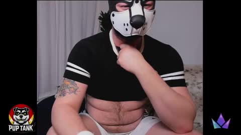 Alpha pup online show from 12.15.25