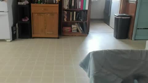 grumpyoldman75830 online show from 07.04.26