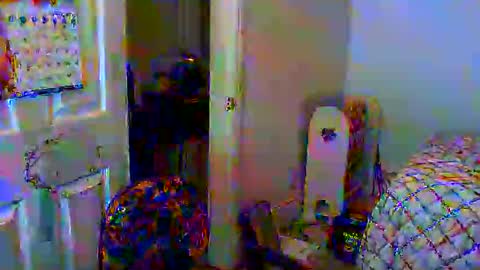 Snapshot of gtnolder60 chatting on 01.06.25 Gary online show from 01.06.25