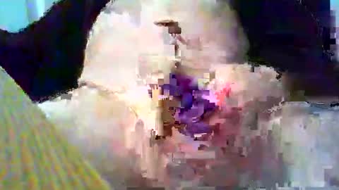 Snapshot of gtnolder60 chatting on 01.26.25 Gary online show from 01.26.25