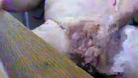 Snapshot of gtnolder60 chatting on 02.02.25 Gary online show from 02.02.25