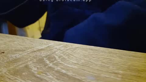 Franky online show from 09.18.25