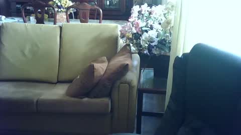 Snapshot of gutobhz249564 chatting on 03.04.25 gutobhz249564 online show from 03.04.25