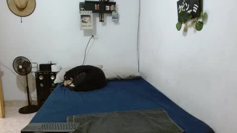 Guts online show from 12.06.24