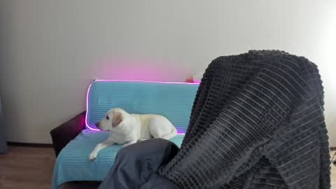 guy_liam1 online show from 12.20.24