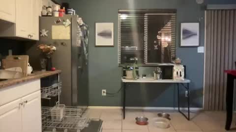 guyduder online show from 11.13.25