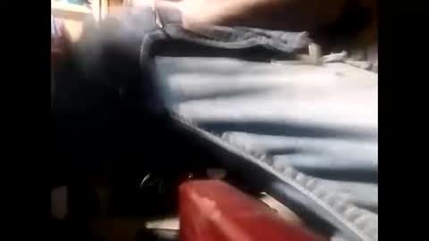 Snapshot of hacpatrick13 chatting on 03.02.25 hacpatrick13 online show from 03.02.25