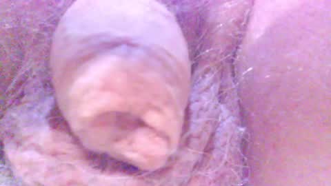 Snapshot of hagridthehorrible chatting on 02.05.25 hagridthehorrible online show from 02.05.25