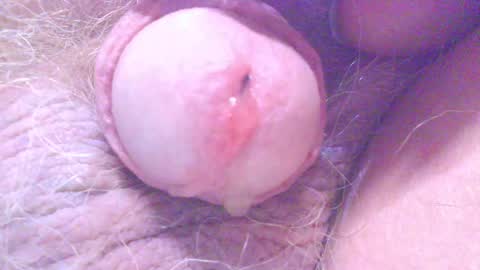 Snapshot of hagridthehorrible chatting on 03.05.25 hagridthehorrible online show from 03.05.25