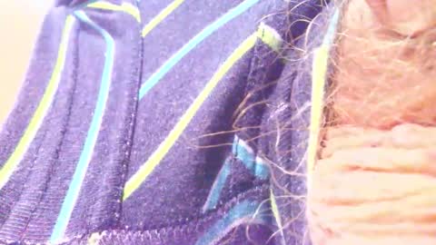 Snapshot of hagridthehorrible chatting on 11.26.25 hagridthehorrible online show from 11.26.25