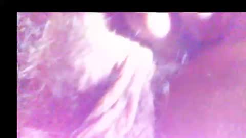 hagridthehorrible online show from 06.20.26