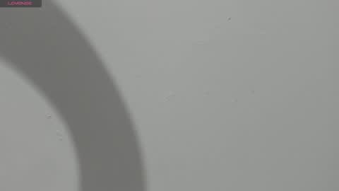 Hailey online show from 03.13.26