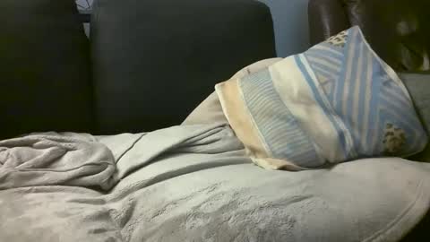 Snapshot of hairiestbear chatting on 02.18.25 Hairiest Bear online show from 02.18.25