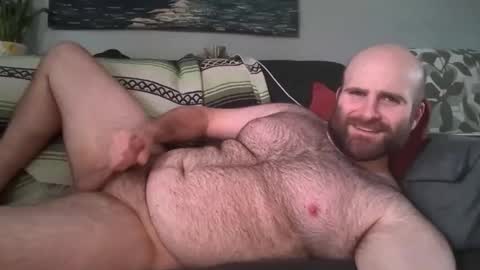 Hairiest Bear online show from 03.17.26