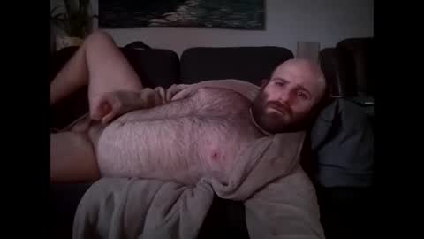 Hairiest Bear online show from 03.25.26