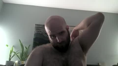 Hairiest Bear online show from 04.01.26