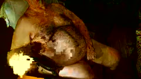 Snapshot of hairybear813 chatting on 01.03.25 hairybear813 online show from 01.03.25