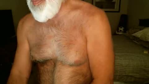 Snapshot of hairypecsguy chatting on 04.21.26 Hairy pecs online show from 04.21.26