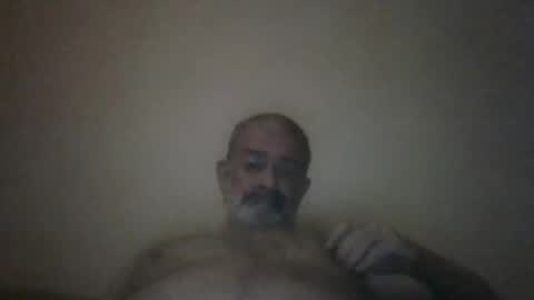 Snapshot of hairypigsyd chatting on 03.01.25 HairyPigSyd online show from 03.01.25
