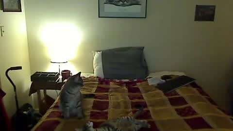 hammerthatthang73 online show from 03.30.26