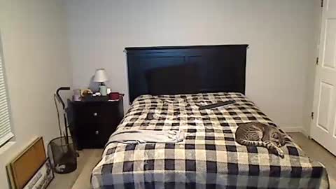 Snapshot of hammerthatthang73 chatting on 05.18.26 hammerthatthang73 online show from 05.18.26