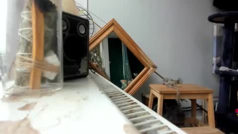 Snapshot of handncocknocum chatting on 02.19.25 handncocknocum online show from 02.19.25