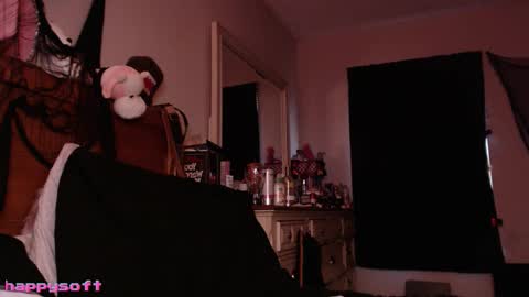 Snapshot of happysoft chatting on 01.09.26 meatwad online show from 01.09.26