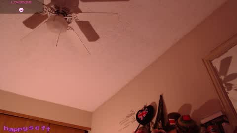 Snapshot of happysoft chatting on 02.14.26 meatwad online show from 02.14.26