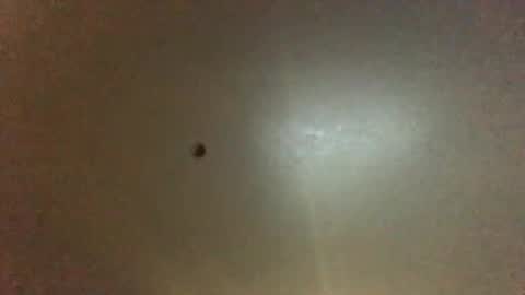 Snapshot of hardforyou3030 chatting on 09.28.25 For You online show from 09.28.25