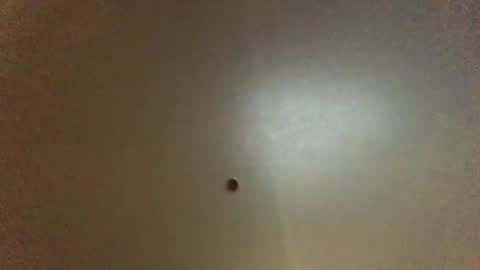 Snapshot of hardforyou3030 chatting on 10.01.25 For You online show from 10.01.25