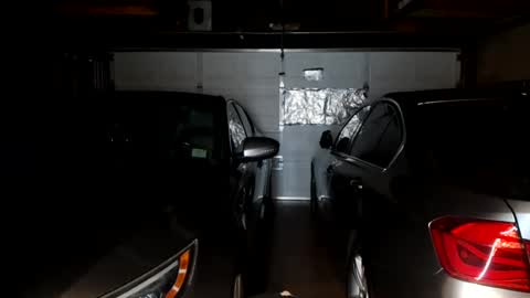 hardfux4fun online show from 07.12.26