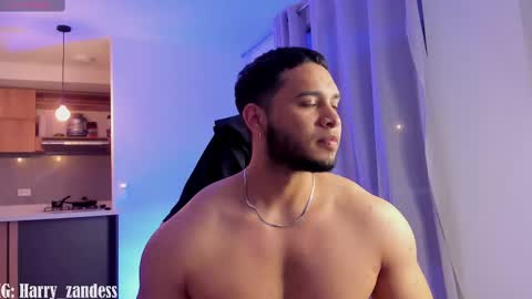 Harry Zandes online show from 02.11.25