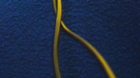 Snapshot of hathor_01_ chatting on 03.05.25 andres online show from 03.05.25