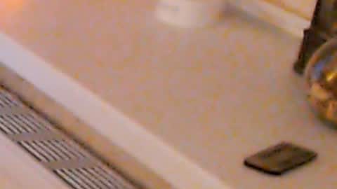 Snapshot of heaven_chloe chatting on 01.04.25 Heaven girl online show from 01.04.25