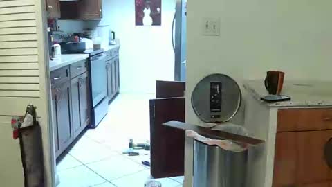 HE Black online show from 04.25.26