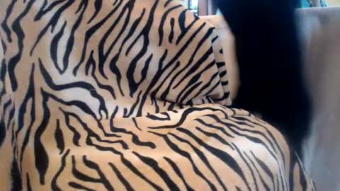 Helvell online show from 02.13.26