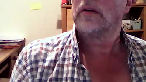 hereford66 online show from 07.16.26