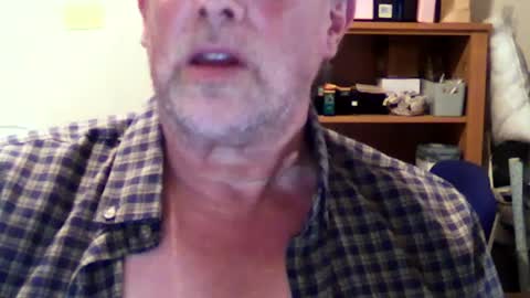 hereford66 online show from 08.02.26