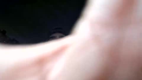 herjafe online show from 03.02.26