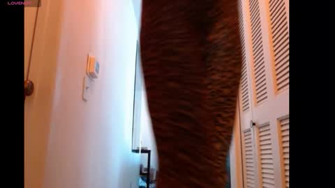 hevin69 online show from 02.15.26