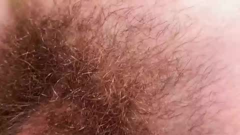 Snapshot of hey_arnold chatting on 12.02.25 Arnold online show from 12.02.25