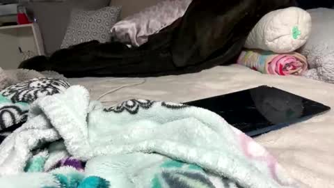 Bondage blondiie online show from 06.05.26