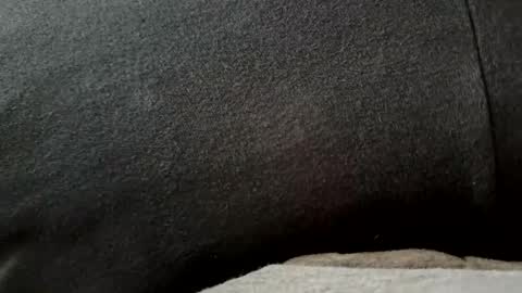 Snapshot of higheguy chatting on 02.20.26 higheguy online show from 02.20.26