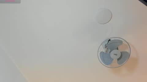 hilary_tailor online show from 01.19.26