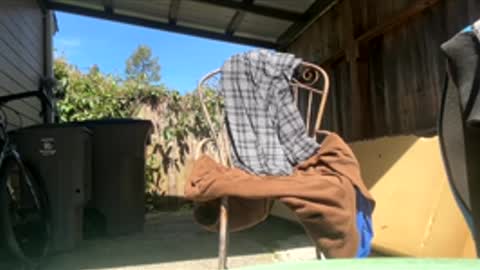 Hippie Jijm online show from 04.17.26