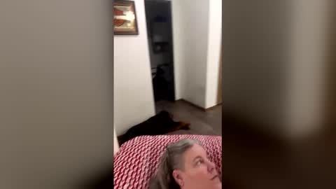 hippysnewhere online show from 04.23.26