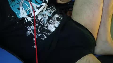 Snapshot of hnrygoo chatting on 11.13.25 hnrygoo online show from 11.13.25