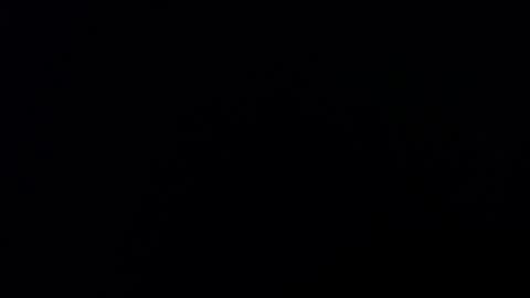 Holly online show from 03.06.26