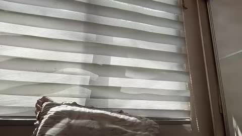 holly_wyn online show from 03.14.26