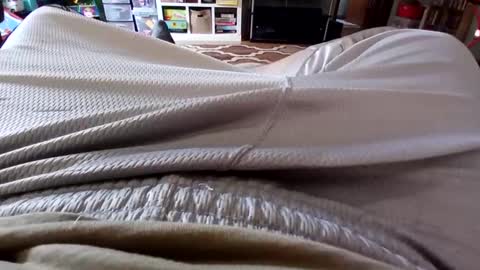 holycannoli123 online show from 10.15.25